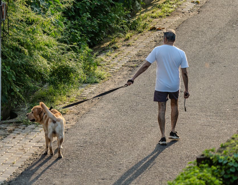 Active healthy man over 50 enjoying outdoor activities after supporting prostate health